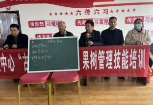 陕西合阳县：开展花椒技术培训 促进产量增收 ()