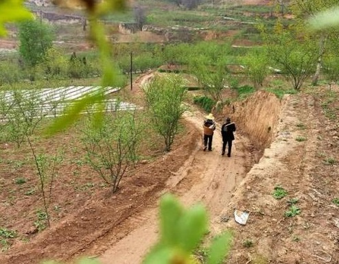 图片1