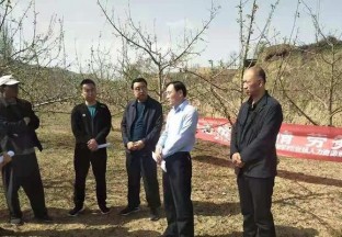 天水甘谷：多举措进行受灾村就业帮扶工作 ()