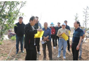 渭南合阳：林业党支部书记引导椒农合理使用粘虫板防治害虫 ()