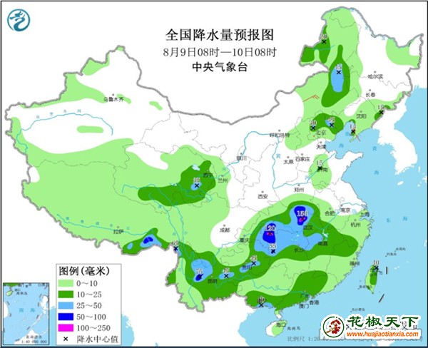 甘肃临夏：小花椒 绿荒山 振乡村 ()
