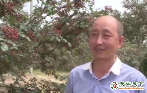 图片2